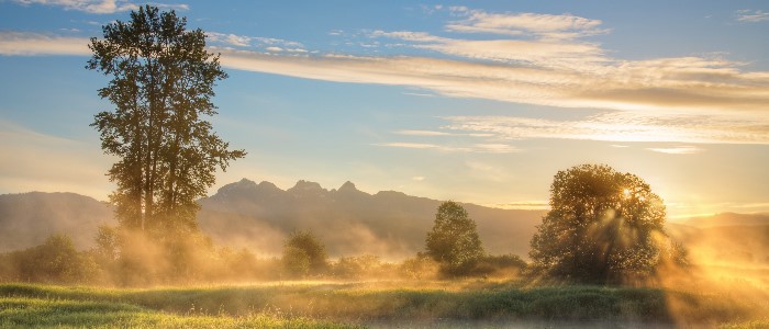 traveling site layout