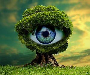 landing page gallery