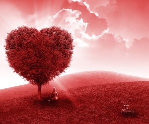 landing page gallery